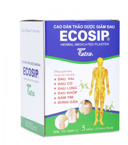 (1 gói x 5 miếng )Cao Dán Thảo Dược Ecosip Nóng Tatra