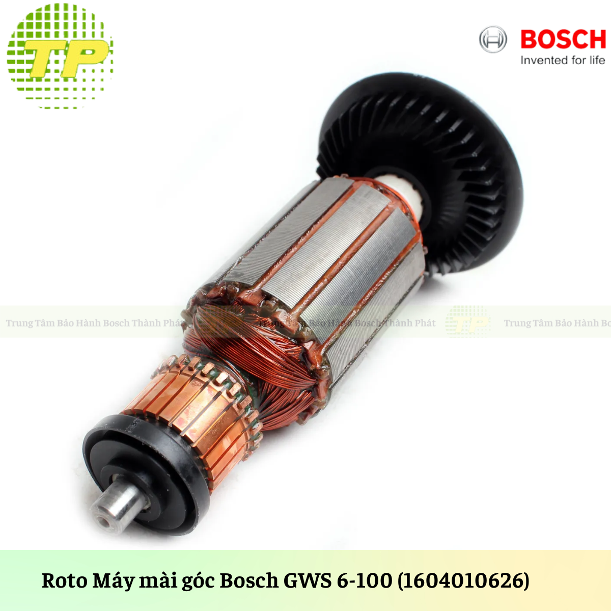 GWS 6-100 (Roto)