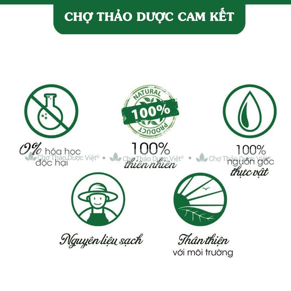Trà lá sen túi lọc, bịch 30 túi x 3g, đậm vị trà thơm ngon, dễ uống, tốt cho sức khoẻ