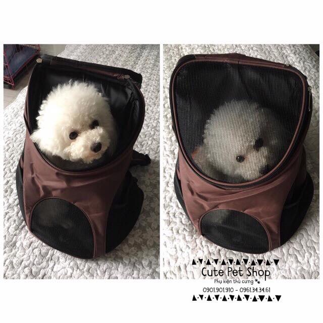 Balo vận chuyển cún mèo🐶🐱