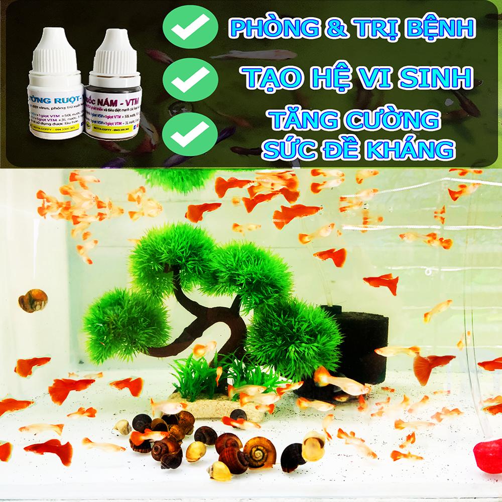 Yellow Care - Dưỡng Cá - Ship Cá - Phòng Bệnh