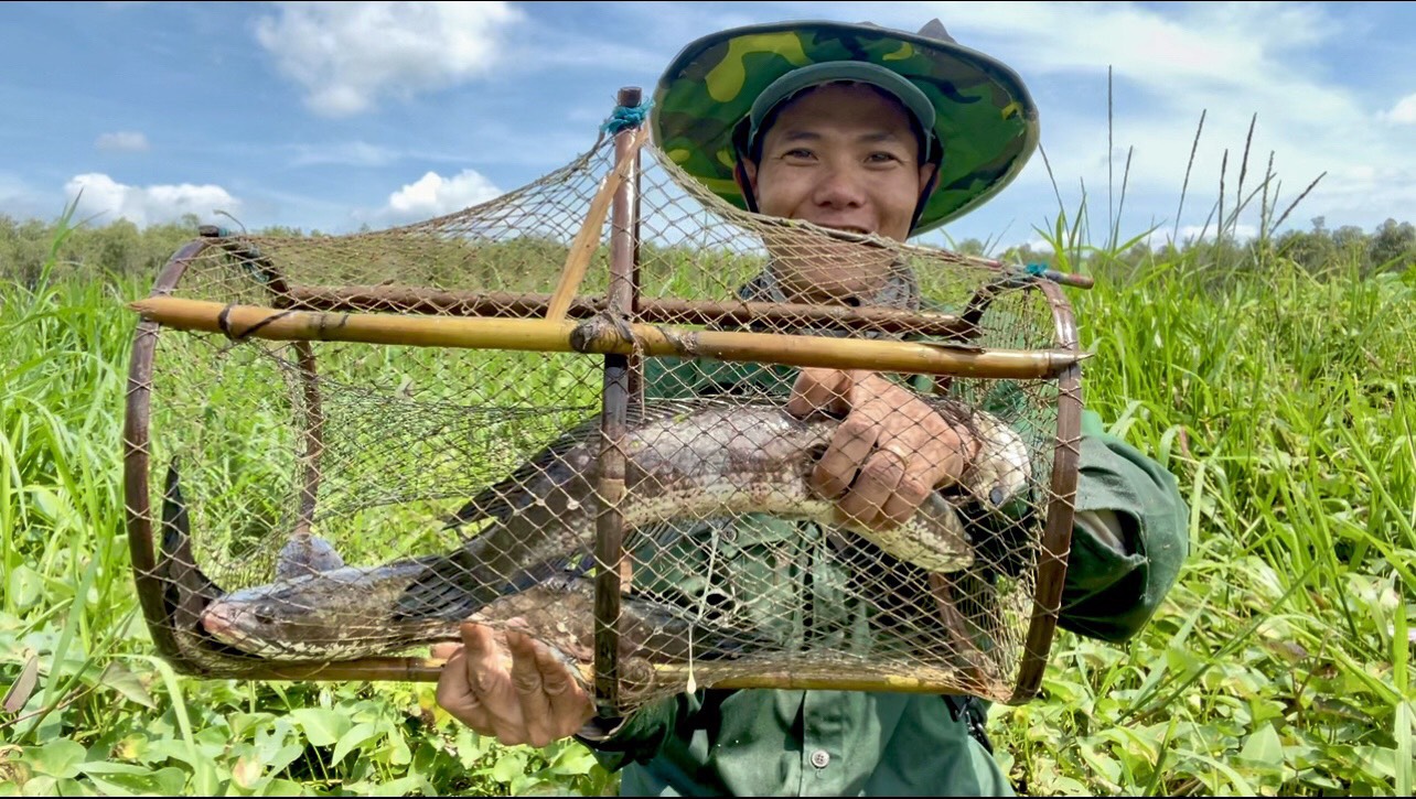 Lưới làm lờ cá cải tiến
