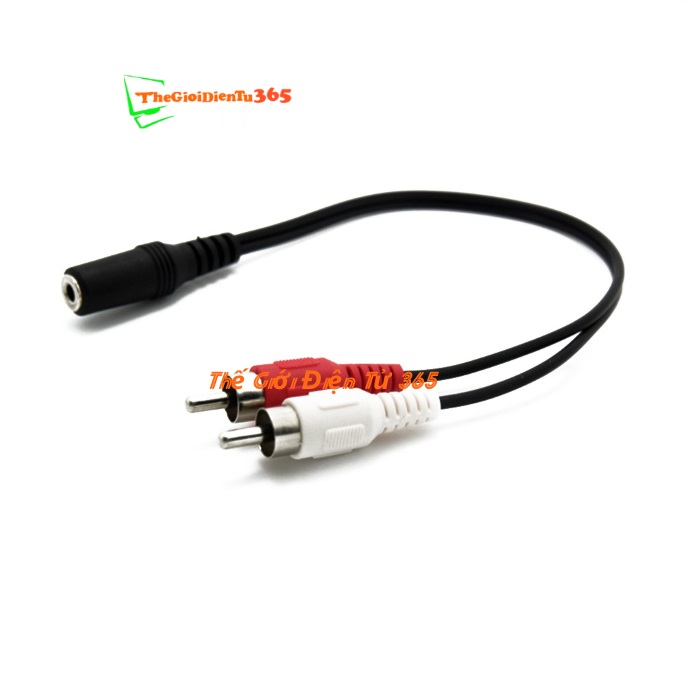 Cáp Đầu Jack 3.5 Cái Ra 2 Đầu Hoa Sen (AV đực)