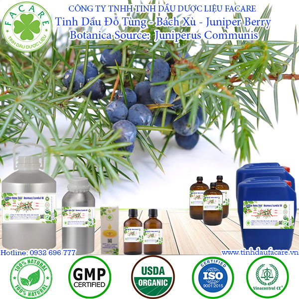 Tinh Dầu Đỗ Tùng (Bách Xù) - Juniper Berry essential oil - 10ml