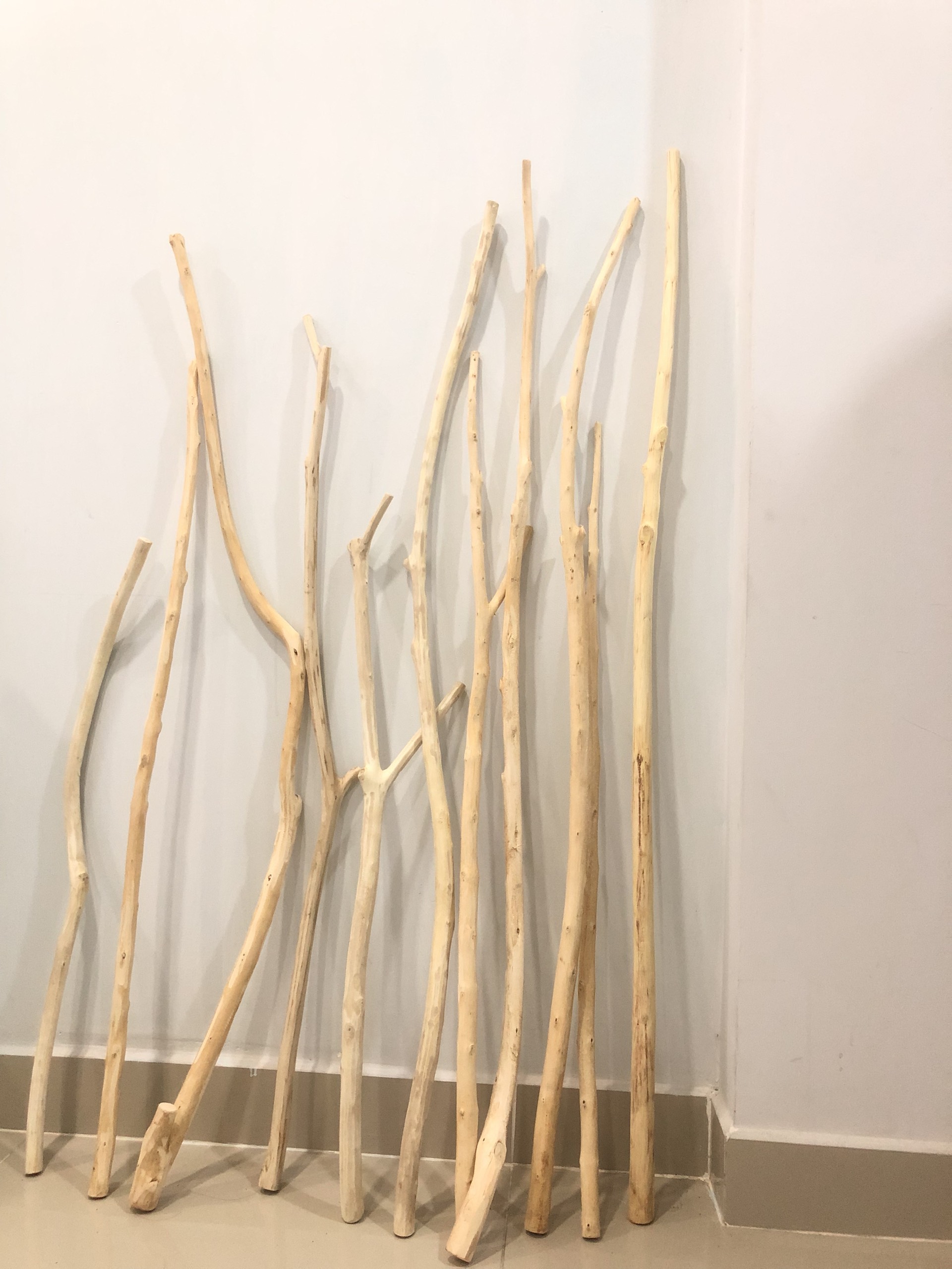 [HCM]CÀNH CÂY GỖ TỰ NHIÊN LÀM MACRAME-Chiều dài 45-50 cm