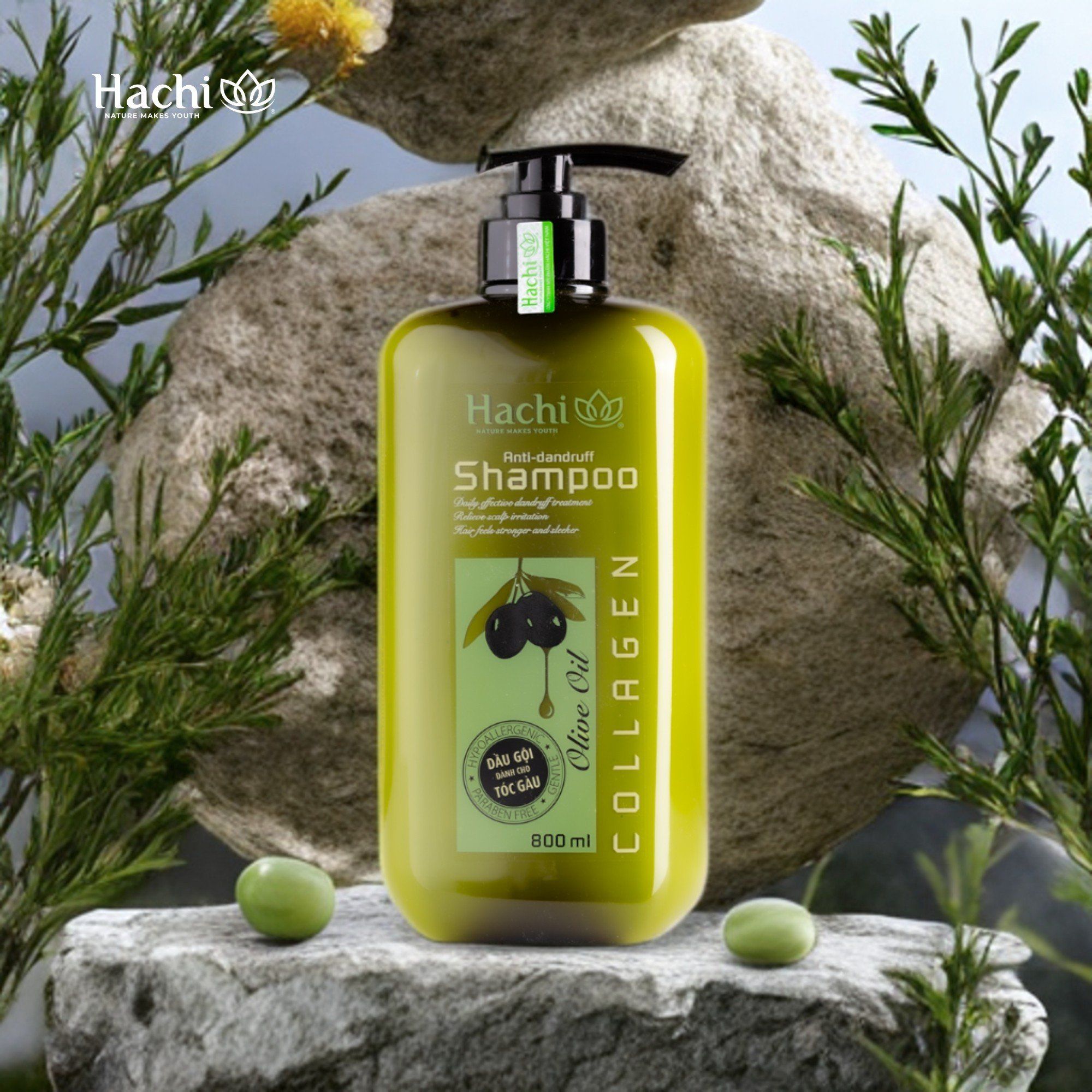 Dầu gội Olive Hachi cho tóc gàu