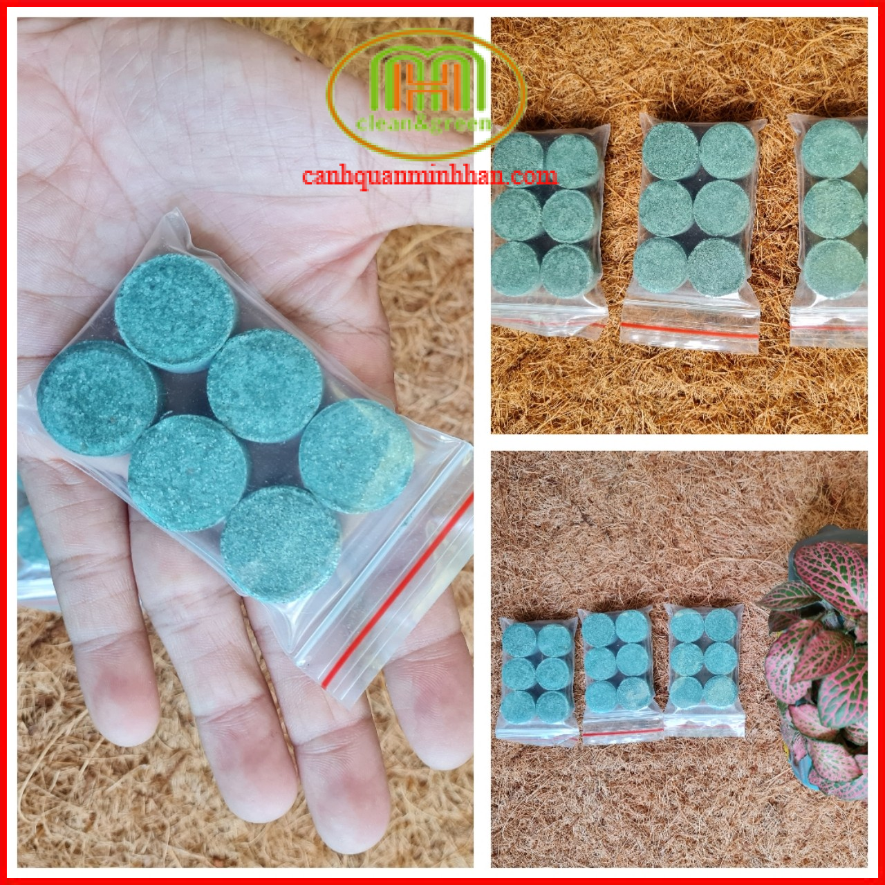 Phân bón Sen sung NPK 16-16-8 TE cây thủy sinh trồng nước, cây mọng nước xương rồng sen đá sứ|Minh Hân Garden