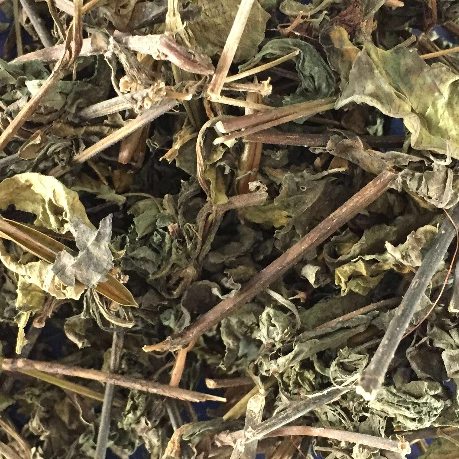 Cây nổ khô 1kg - Thảo Dược Tấn Phát