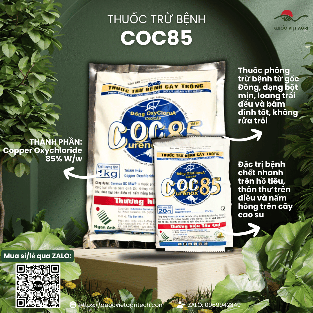 (20g - 1kg) Genuine Coc 85 Wp Fungicide - Copper Oxychloride 85%W/W Eliminates Powdery Mildew, Anthracnose, White Powdery Mildew and Scars for Ornamental Flowers