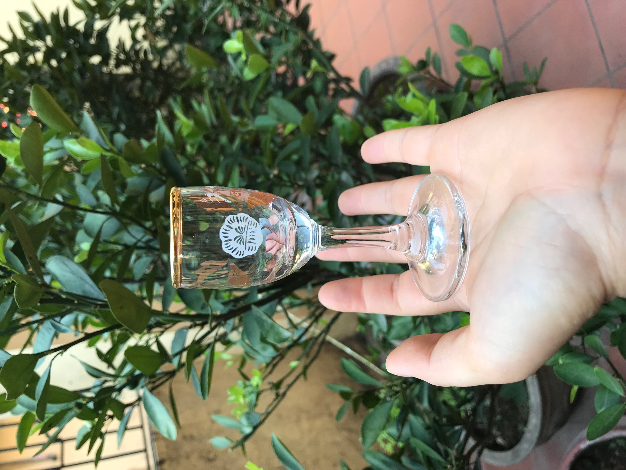 BỘ 6 LY RƯỢU CHÂN CAO KHẢM VÀNG 30ML