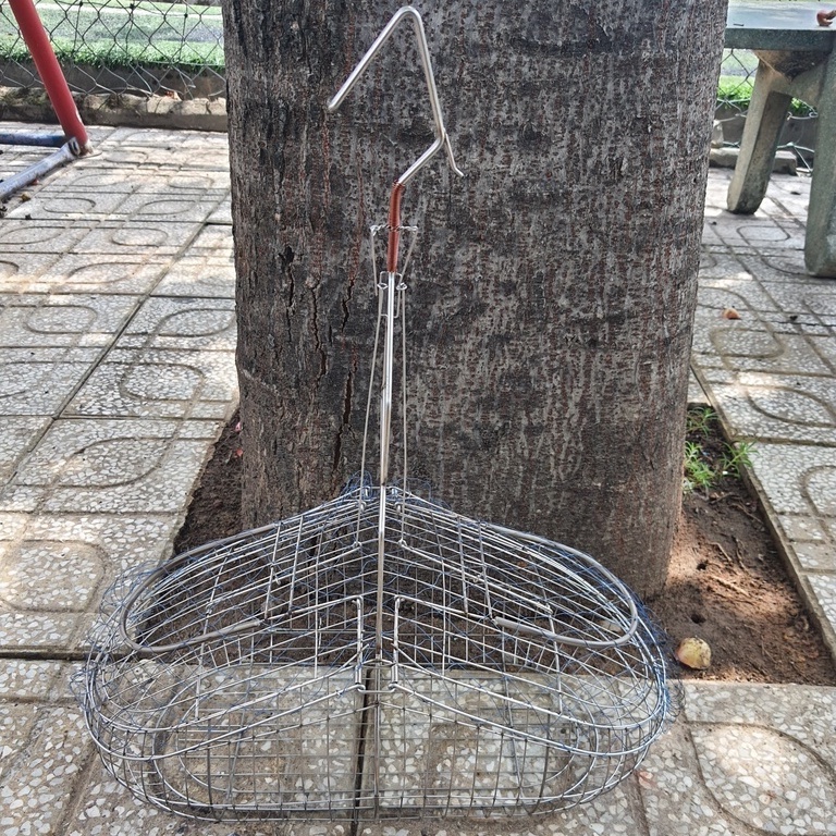 Lồng Bẫy INOX Chào Mào, Chòe Than