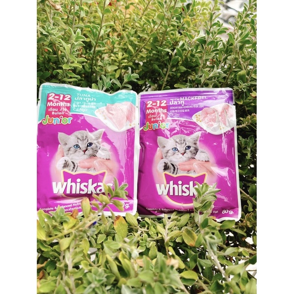 Pate Whiskas Dành Cho Mèo Con 80G