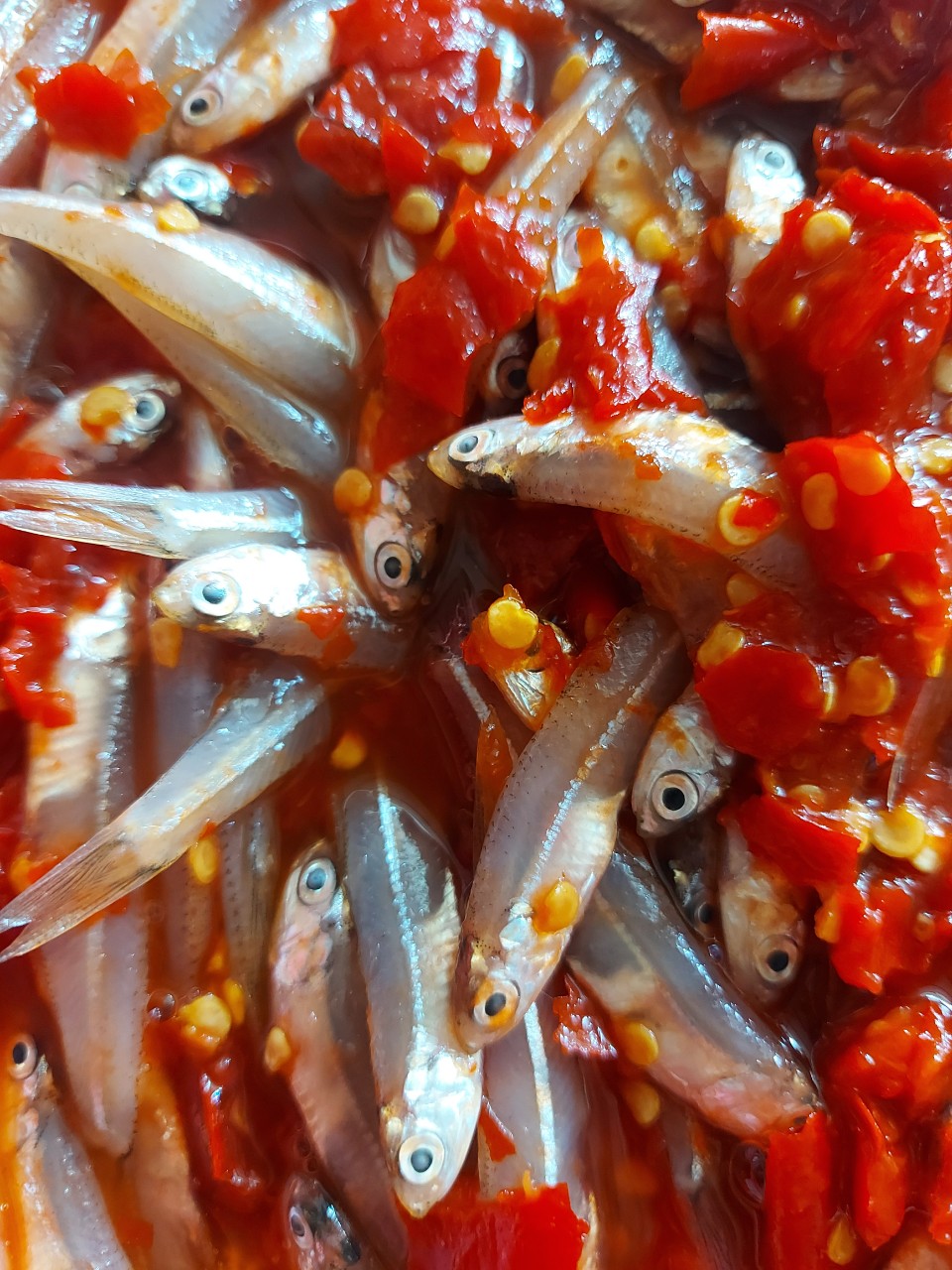 Mắm cá cơm xổi Huế
