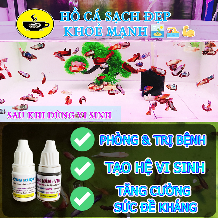 Virkom B - Sát Trùng - Diet Nam - BETTA COFFY ☕️