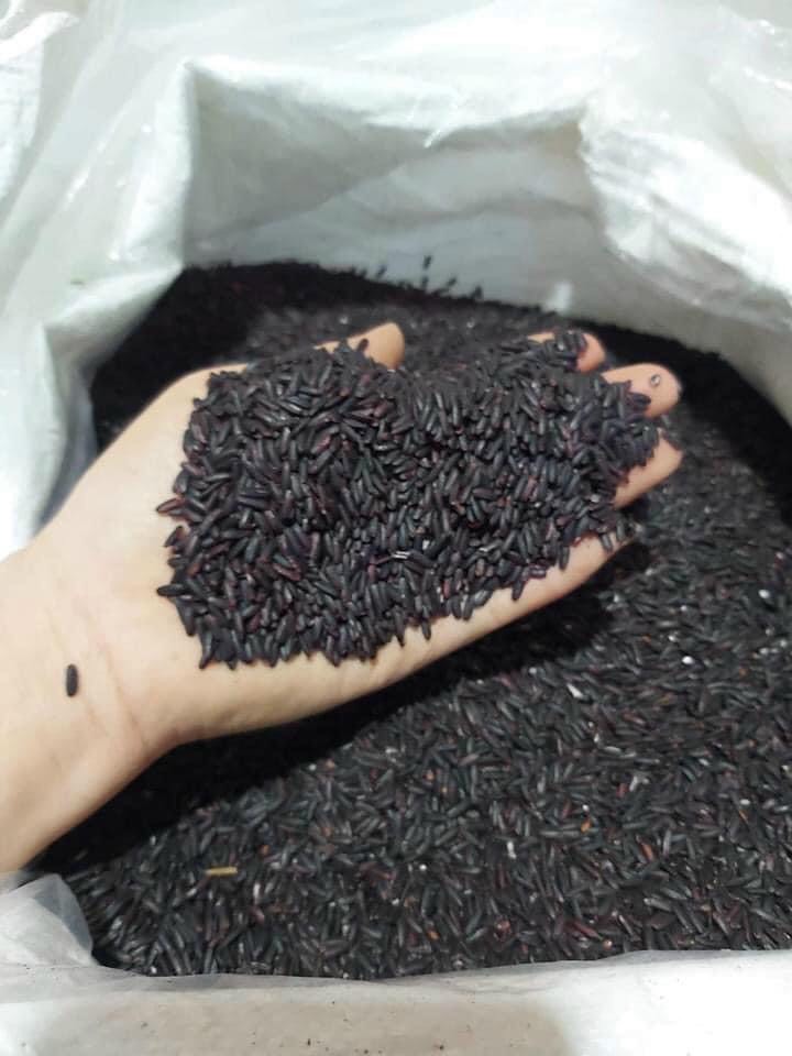 Gạo lứt đen dẻo Điện Biên thơm ngon 1kg