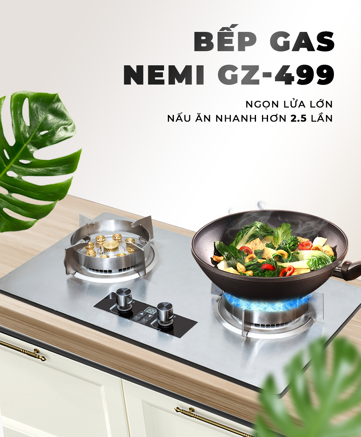 Bếp Gas Đôi NEMI GZ499 Âm Dương Thiết Kế Thông...