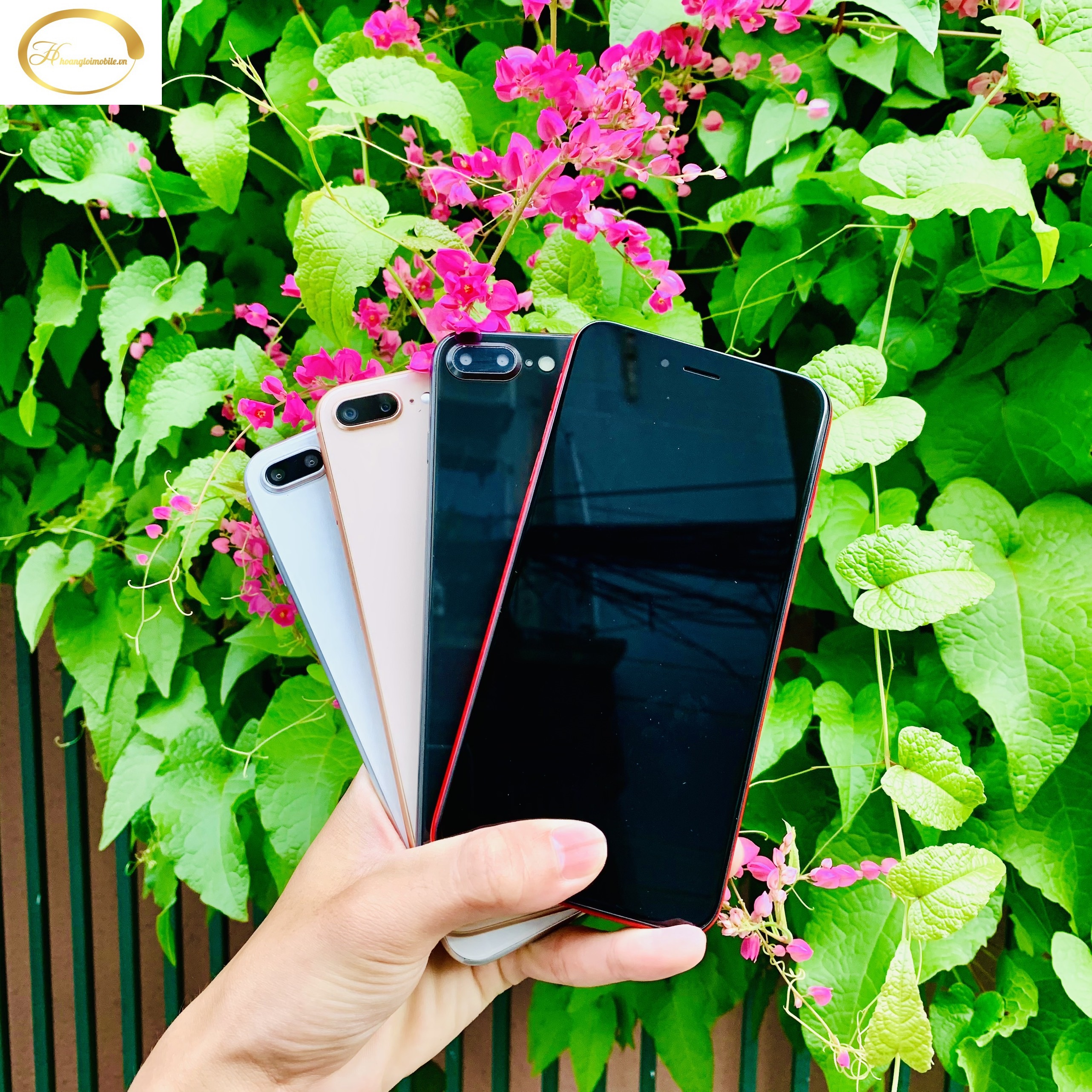 Mô hình trưng bày i.p 8Plus đủ màu cực đẹp
