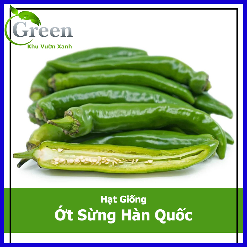 Hạt giống ớt sừng ngọt hàn quốc trái dài