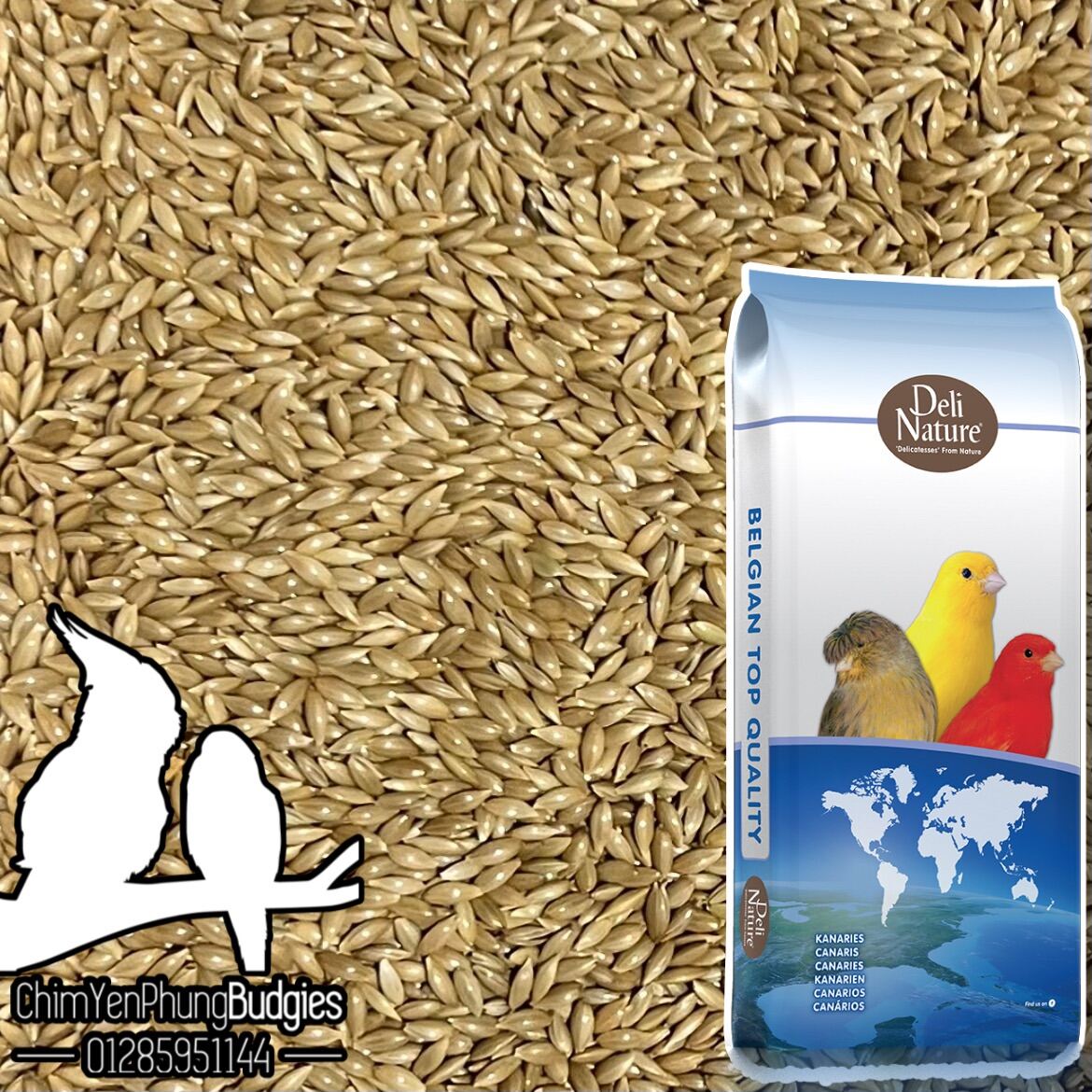 Hạt láng Deli Nature cho Yến Hót • Chim Cảnh • Yến Phụng - xuất xứ: Bỉ 🇧🇪🇧🇪🇧🇪