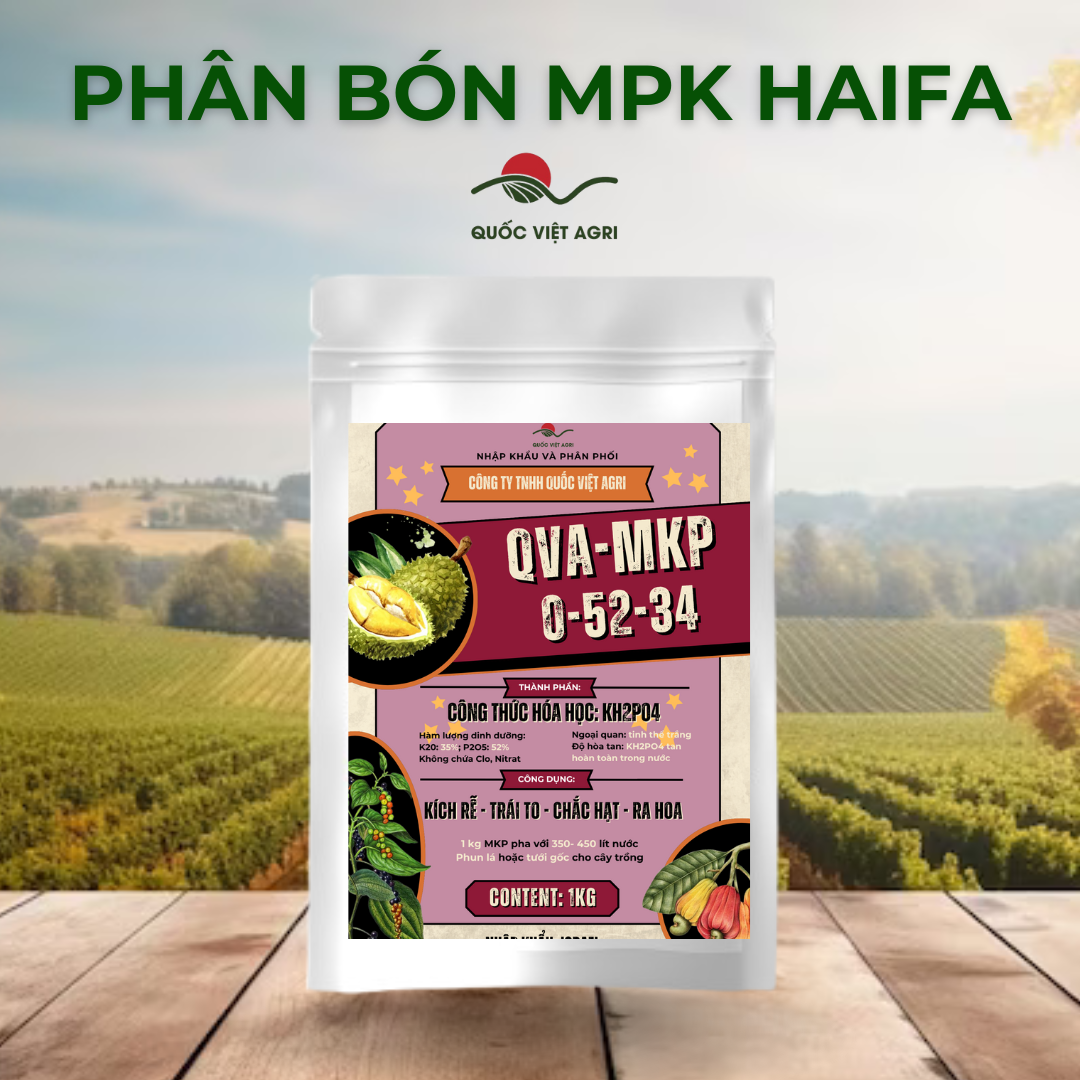 QVA - CHÍNH HÃNG: [100g-25kg] Phân bón MKP HAIFA 0-52-34