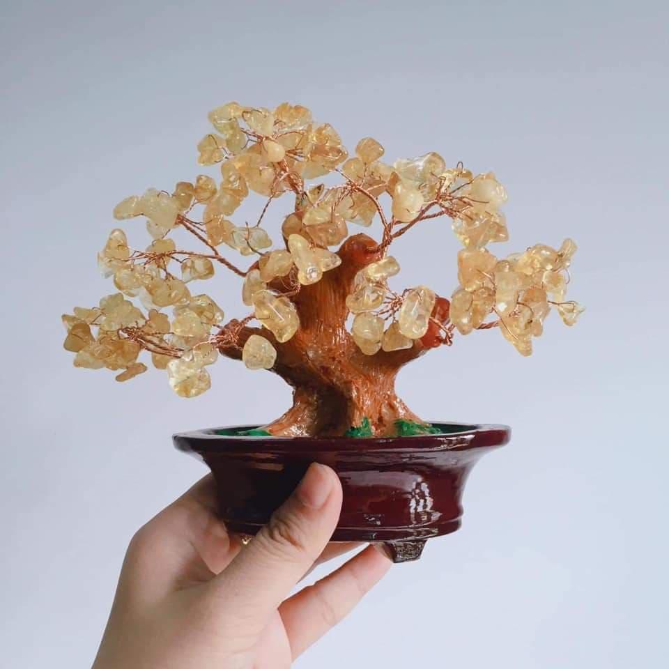Cây Tài Lộc Đá Thạch Anh Để Bàn Làm Việc