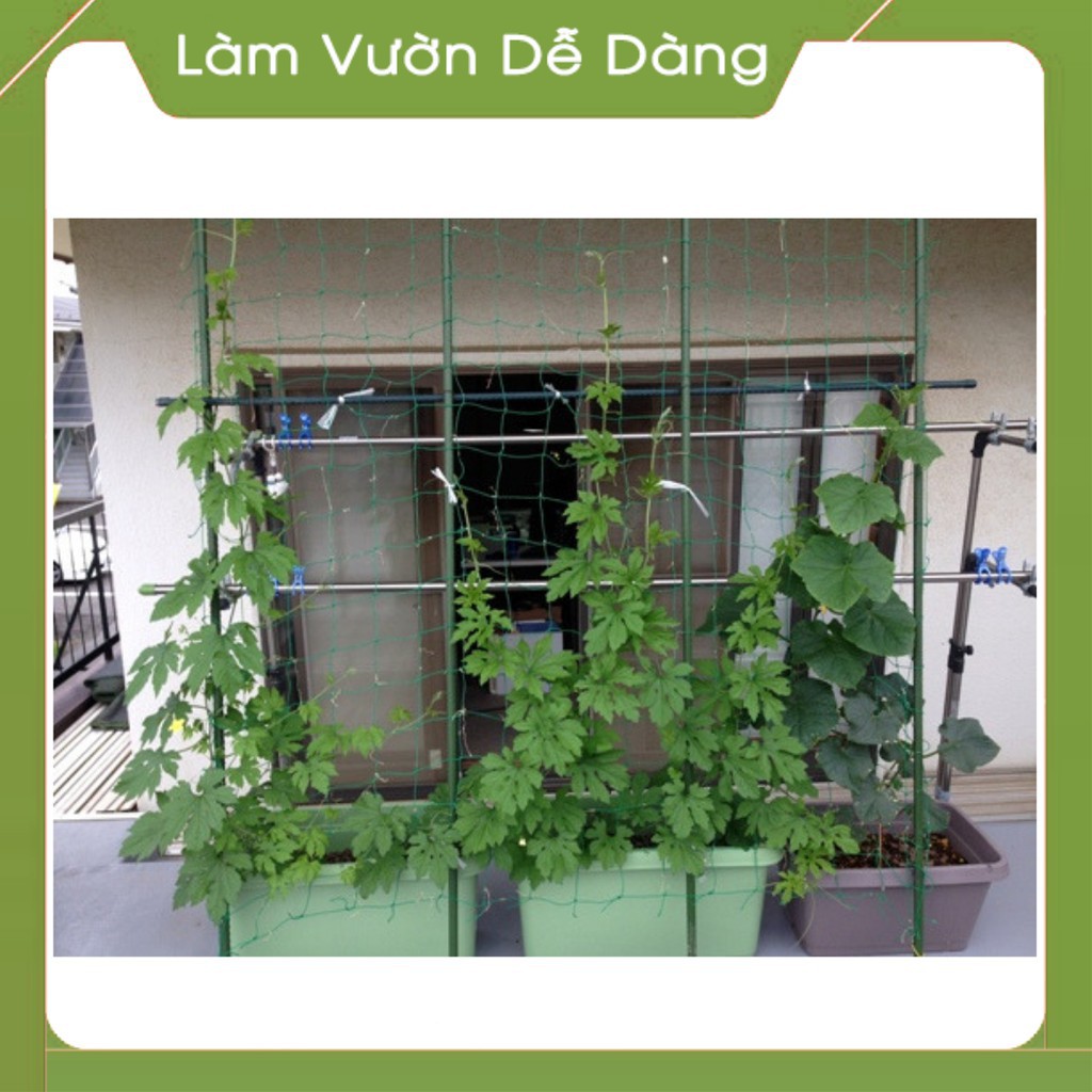 Lưới làm giàn dây leo, lưới làm giàn cây Ollie net (xanh)