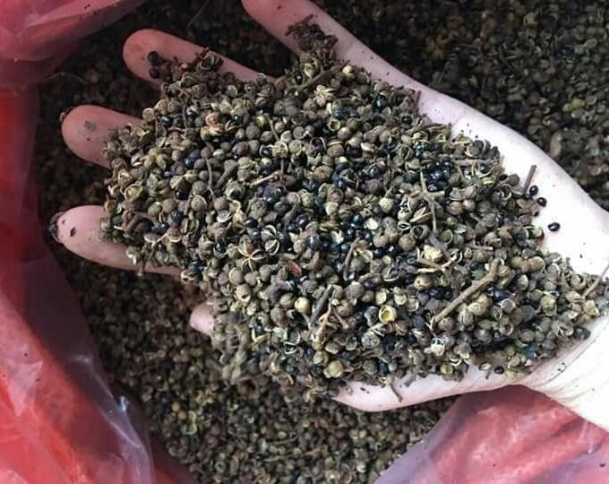 COMBO: 20 HẠT DỔI + 200G MẮC KHÉN
