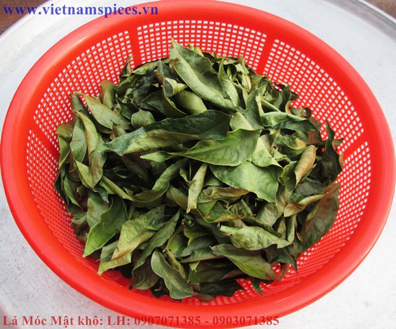 Lá Móc Mật khô 100gram