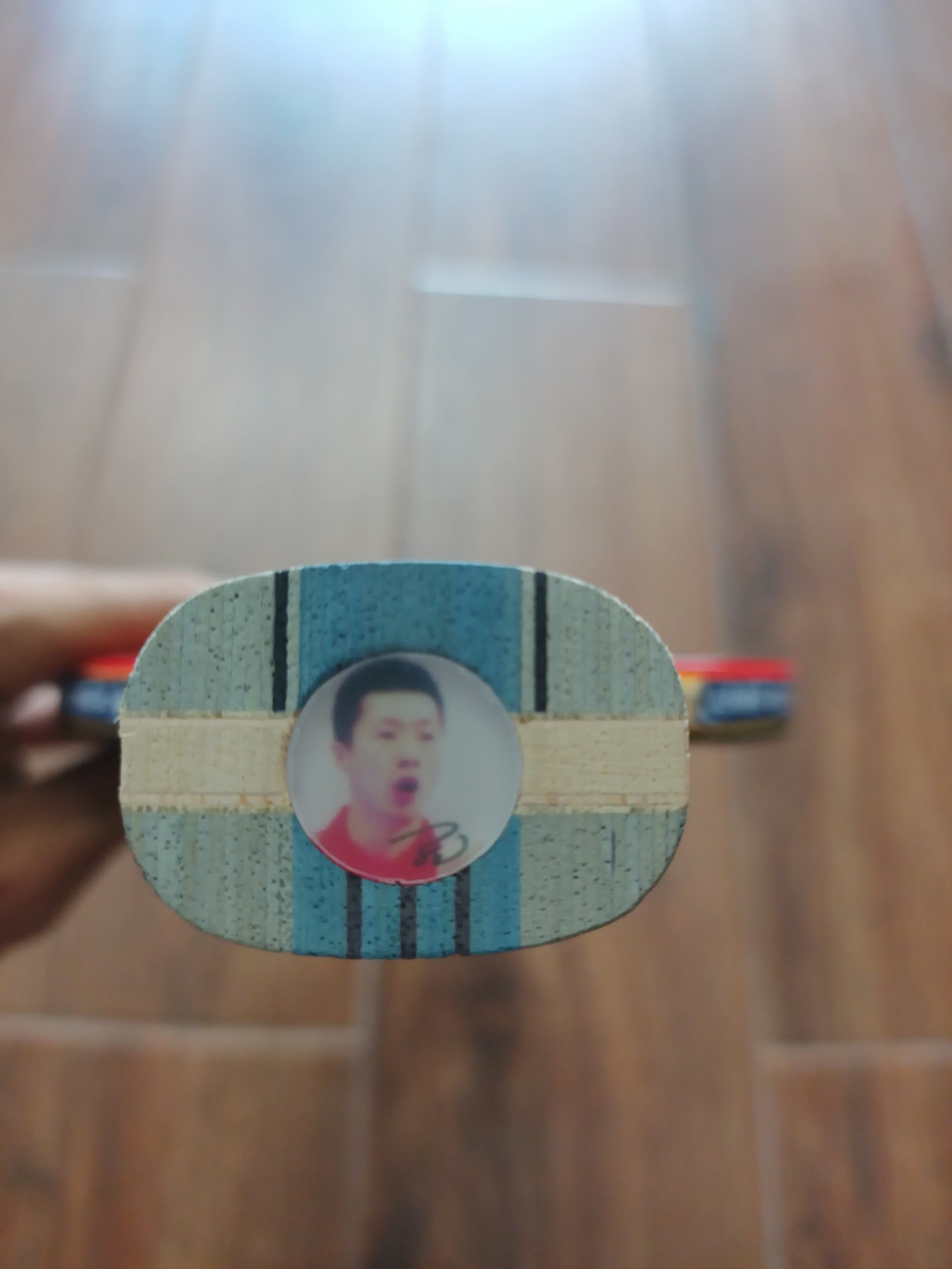 Vợt bóng bàn DHS-6002