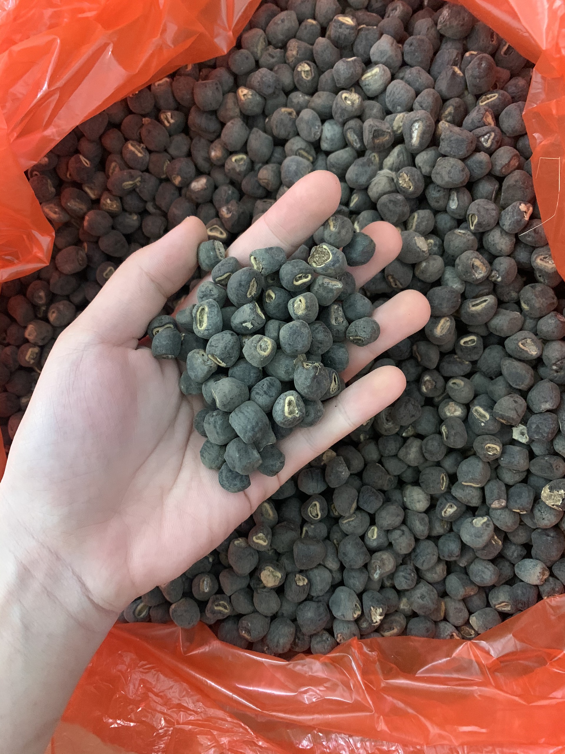 Chuối hột mồ côi Ninh Thuận 1kg