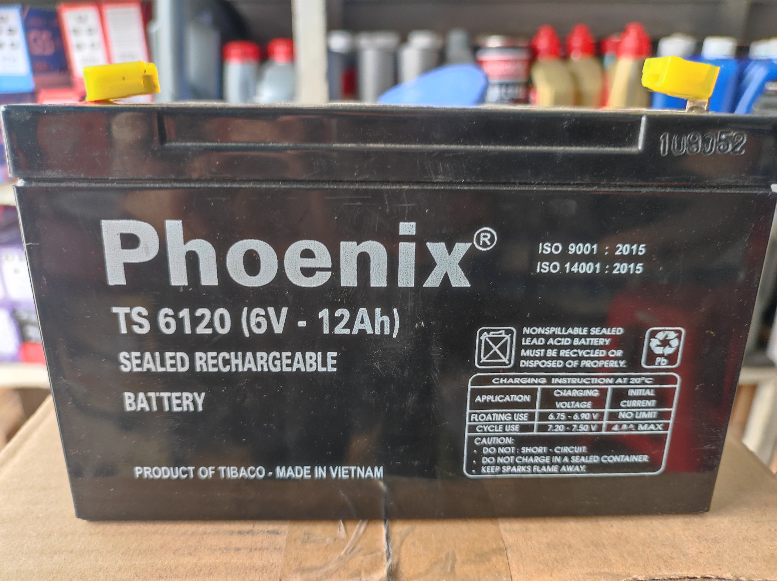 Bình ắc quy Phoenix TS 6120 (6V-12AH )