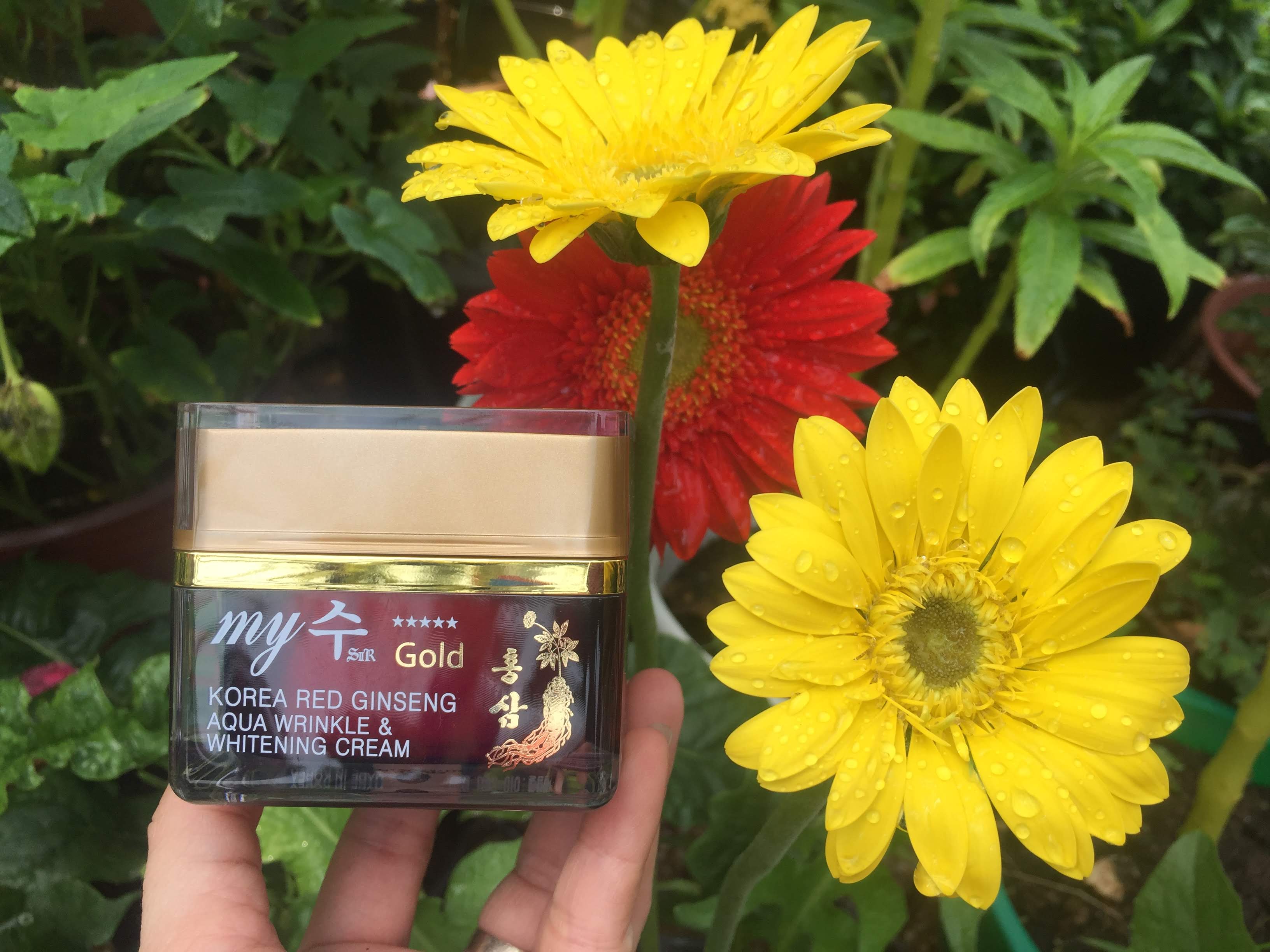 Kem sâm Hàn Quốc My Gold trắng da 50 ml