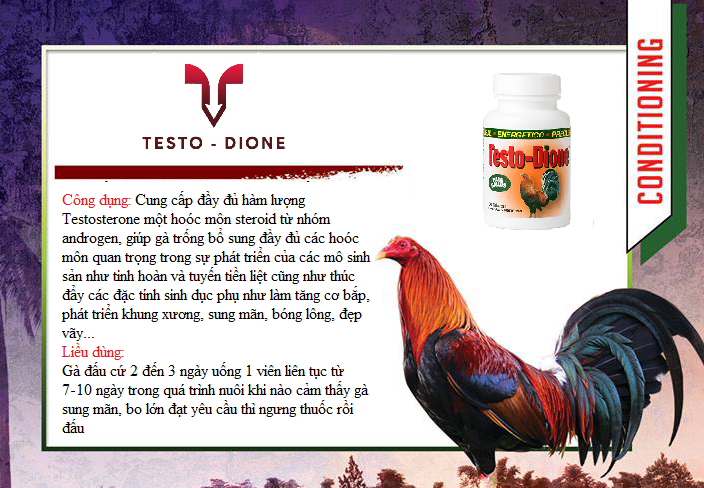 TESTO-DIONE (giống DV3) tăng lực cho gà đá CHIẾC LẼ 20 viên