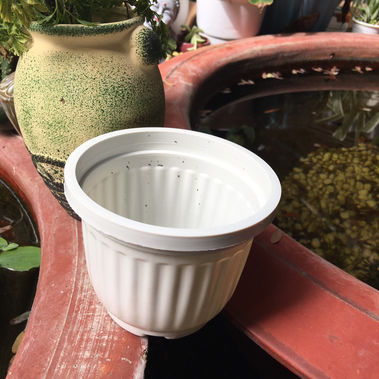 Chậu nhựa vân sọc sen đá nhỏ