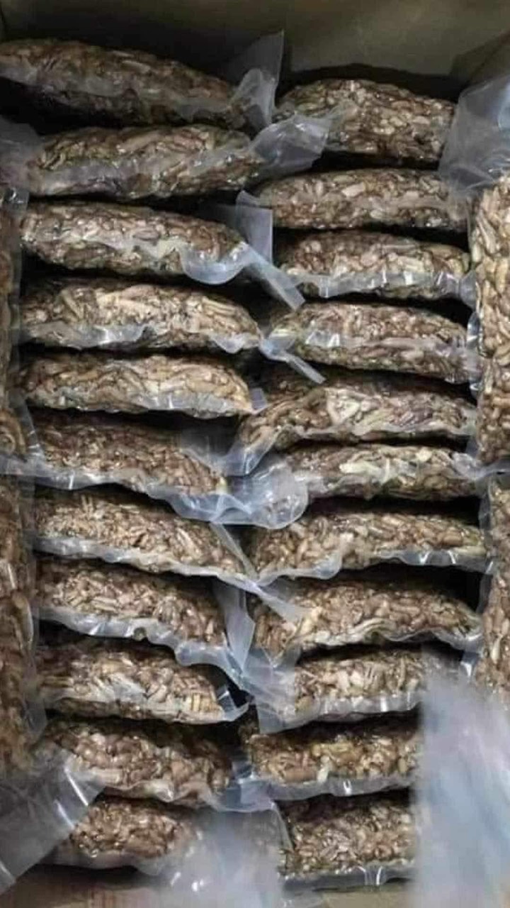 Ba kích tím Quảng Ninh [1kg]