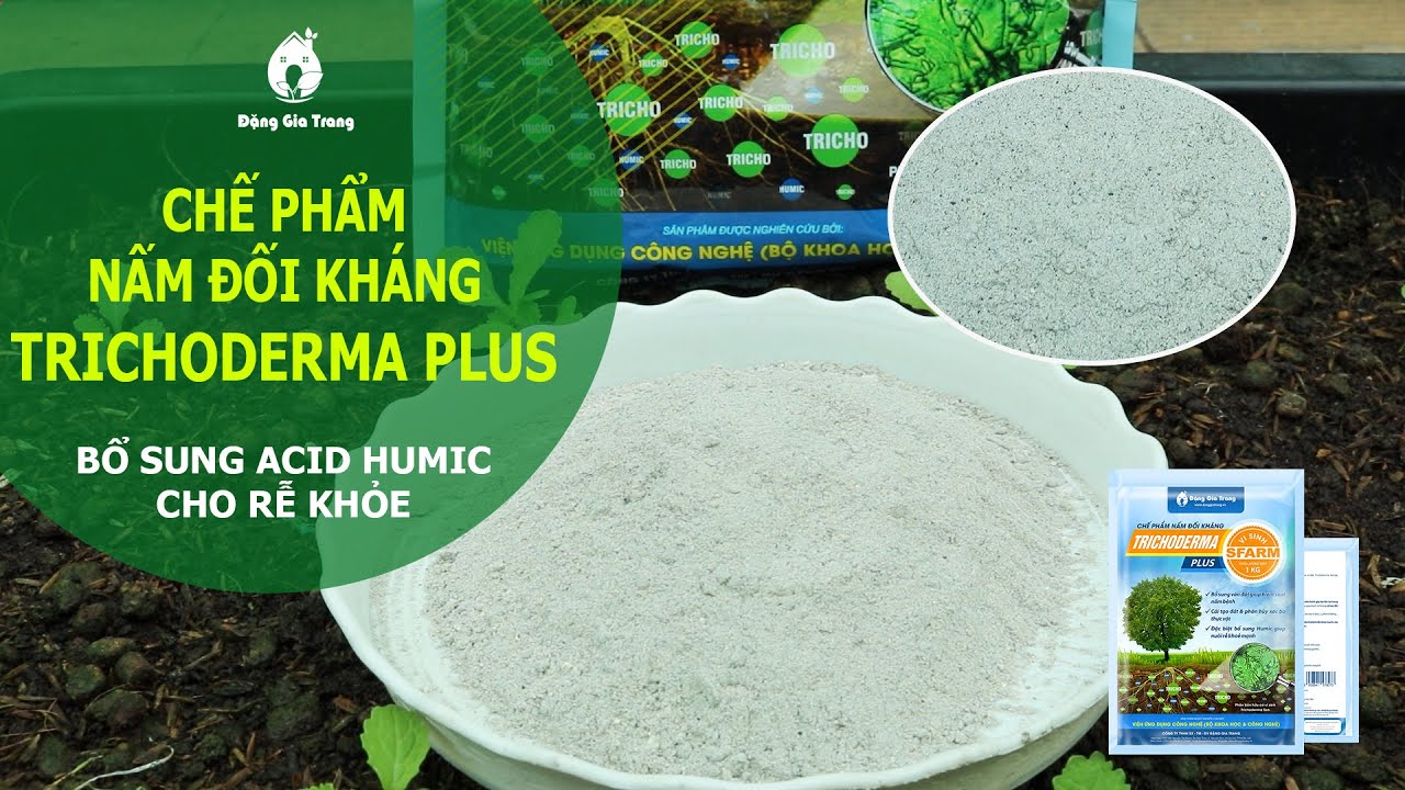 CHẾ PHẨM NẤM ĐỐI KHÁNG TRICHODERMA PLUS SFARM ( GÓI 1KG) KIỂM SOÁT NẤM - Chính Hãng