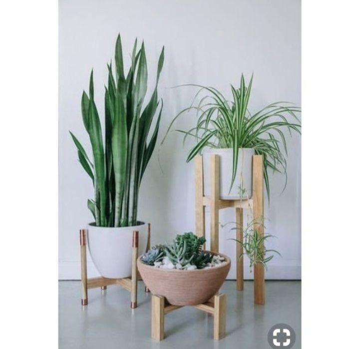 Đôn gỗ đựng chậu cây cảnh