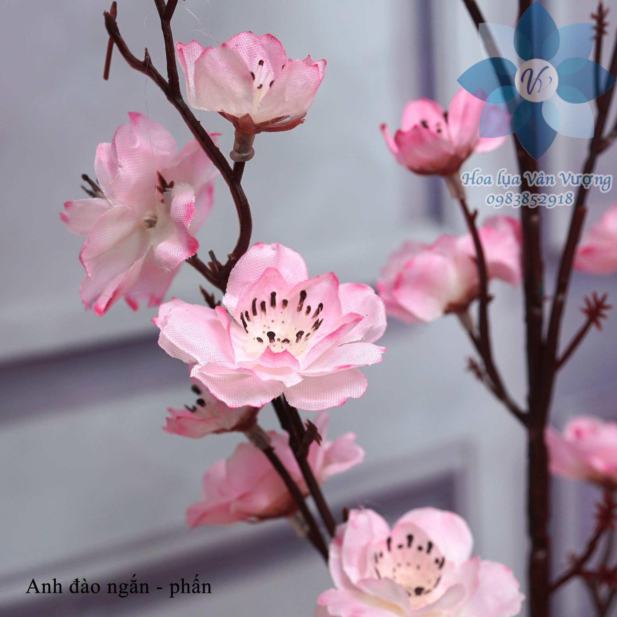 Hoa Lụa Cao Cấp, Hoa Giả Hoa Anh Đào