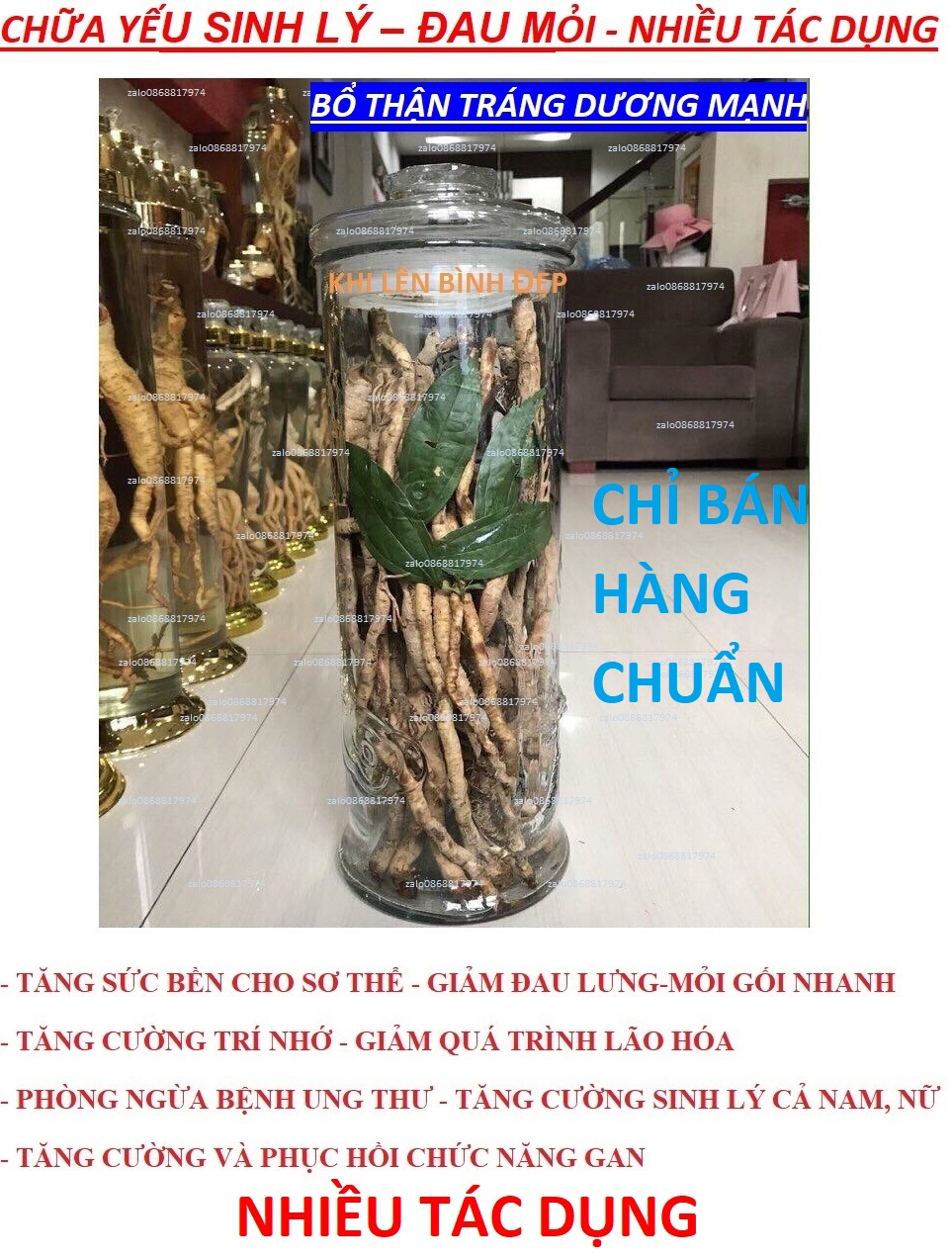 5KG SÂM XUYÊN ĐÁ NHƯ SÂM-HÀN-GIẢM ĐAU_LƯNG+MỎI GỐI+LÃOHÓA+UNG_THƯ_GAN+TĂNG CƯỚNG SỨCKHỎE+SINHLÝ+TRÍ NHỚ SXD 1.5