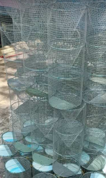 [Lờ  Đặt Cá] lồng kẽm BẪY Ếch