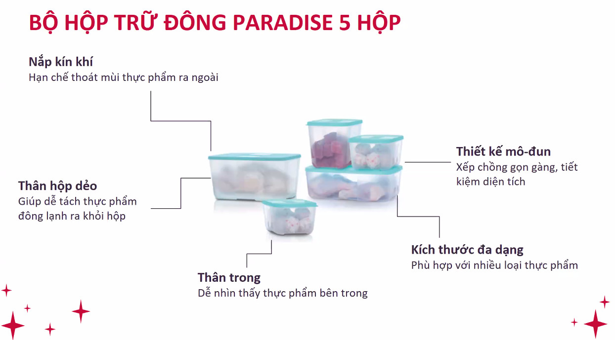 Bộ Hộp Tupperware Trữ Đông Paradise (5 hộp)