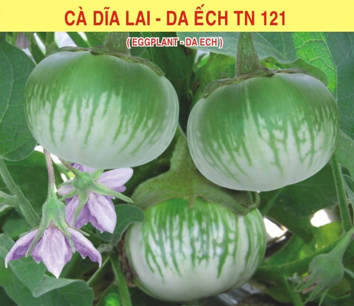 Hạt giống cà dĩa da ếch tn 121 trang nông gói 1gram