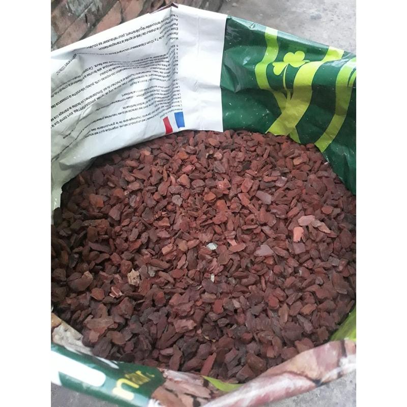 1 kg Vỏ Thông vụn Trồng Lan