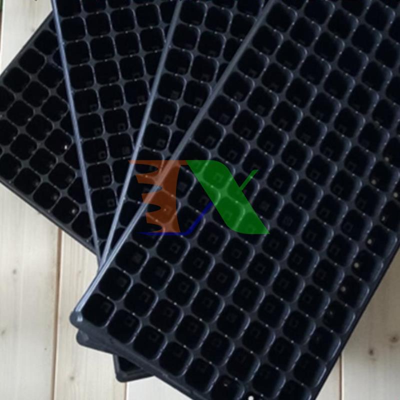 Bộ 5 khay ươm cây, khay ươm hạt, vỉ ươm (128 lỗ)(Đen)