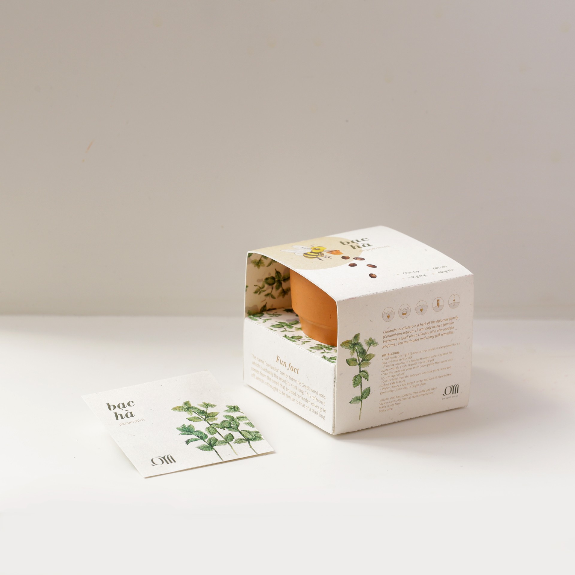 Kit Trồng Cây Mini - Bạc Hà
