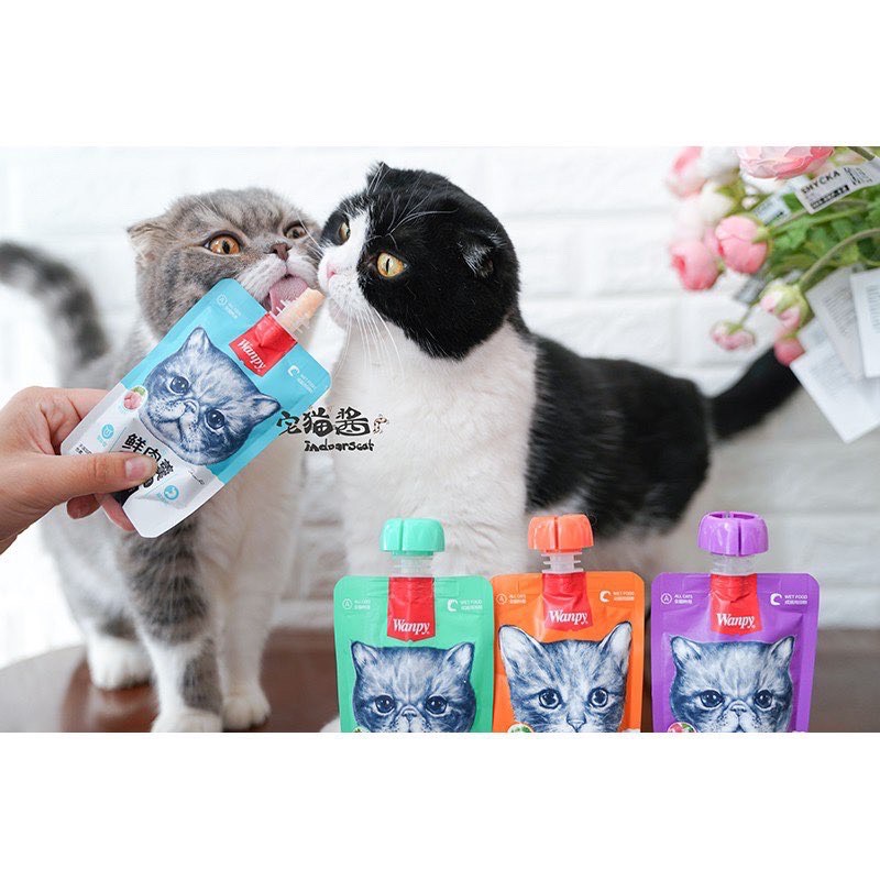 Súp Thưởng Wanpy Tuýp Nắp Vặn 90GR