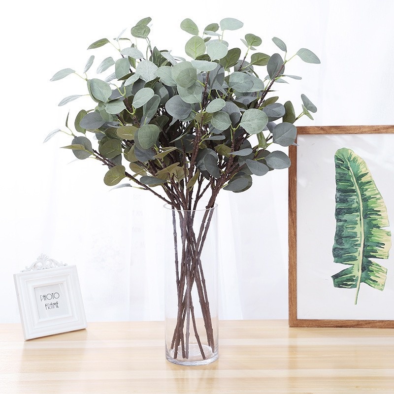 Lá Bạch Đàn Size To Đẹp, Cành Lá Bạch Đàn 013