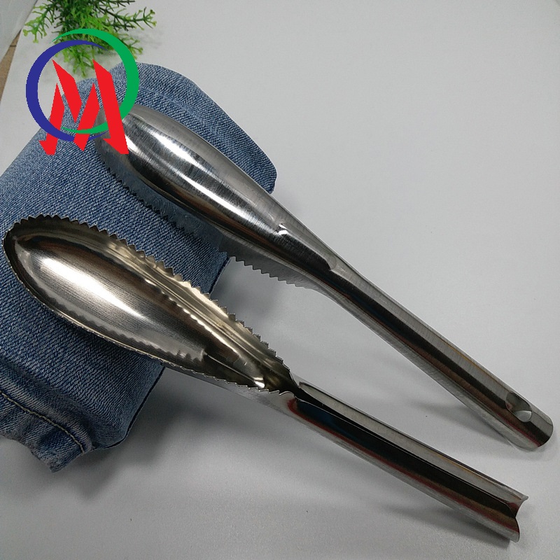 [HCM][Giá rẻ hủy diệt] Combo 2 Dụng cụ đánh vảy cá inox 23.3x3.5cm
