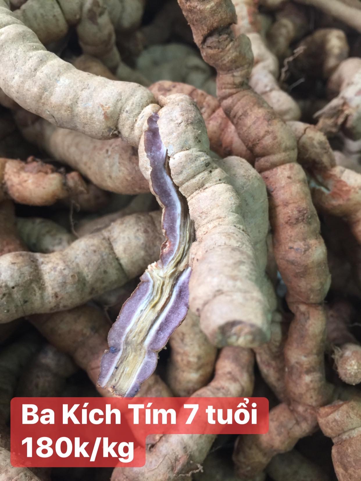 0.5kg Củ Ba Kích Khô Đã Bỏ Lõi
