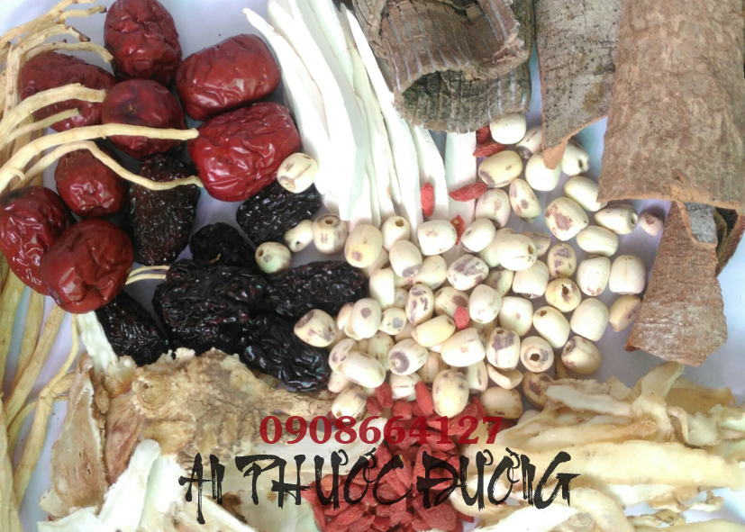 GIA VỊ  THUỐC BẮC NGON-BỔ-RẺ